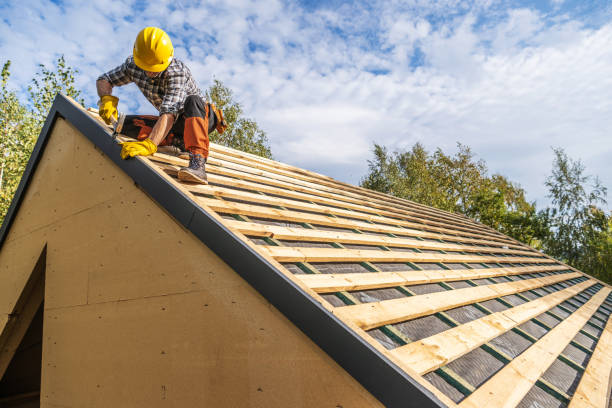 Best Local Roofing Companies  in Corunna, MI