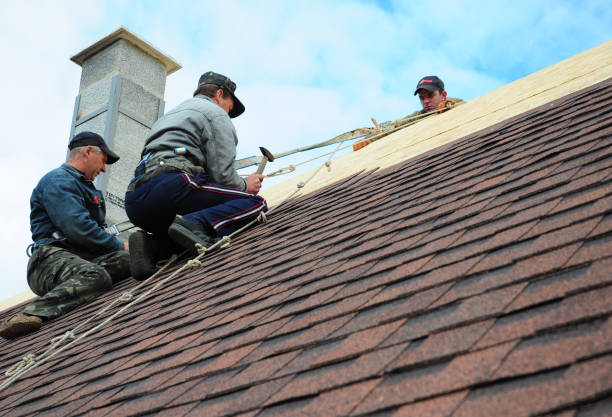 Quick and Trustworthy Emergency Roof Repair Services in Corunna, MI