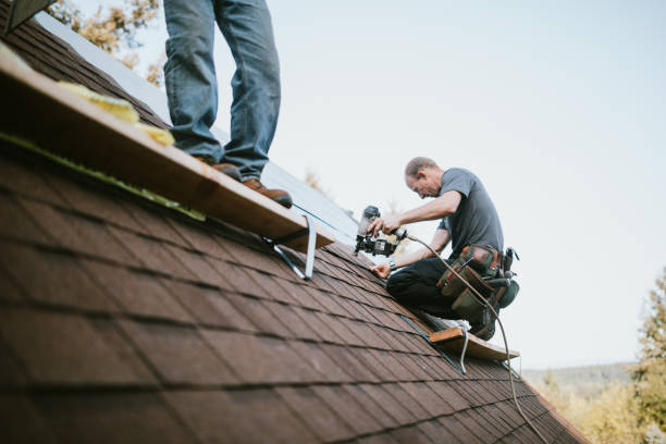 Professional Roofing Contractor in Corunna, MI