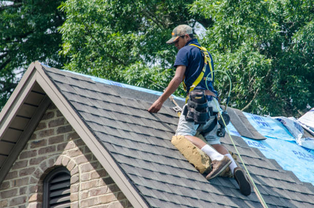 Best Roof Gutter Cleaning  in Corunna, MI