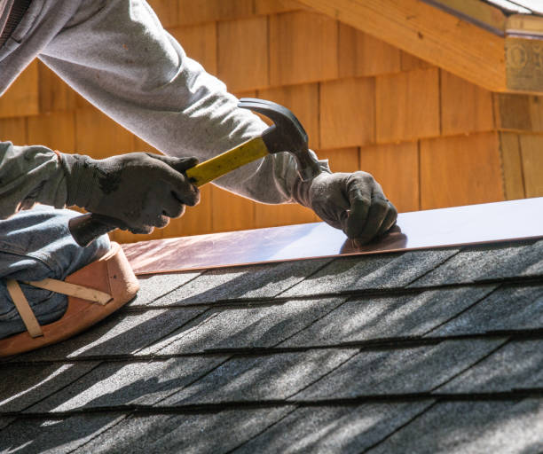 Best Metal Roofing Contractor  in Corunna, MI